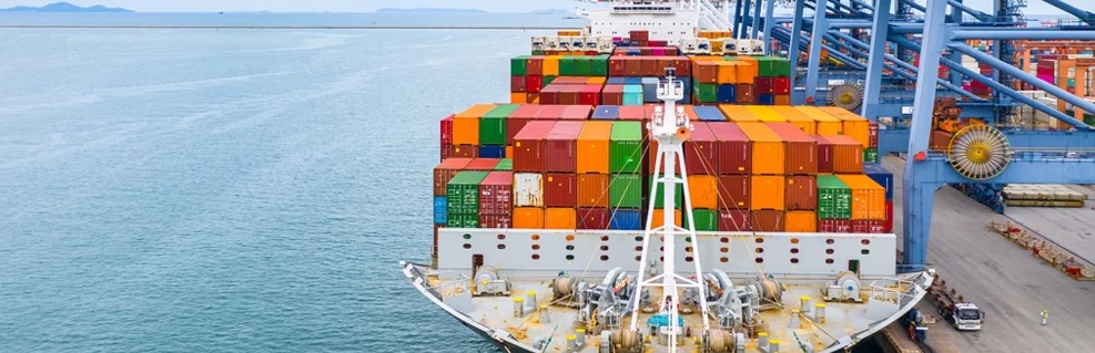 Uluslararası Satışlarda CISG Çerçevesinde Ayıba Karşı Sorumluluk
